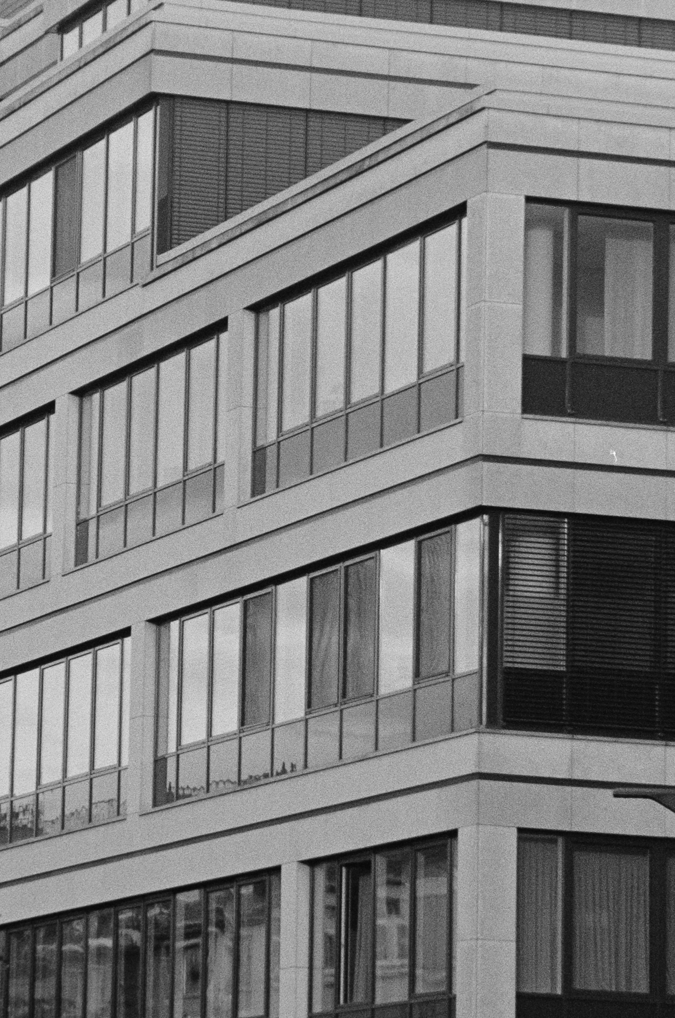 grey spaces